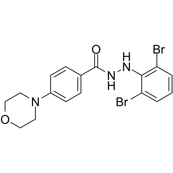 RdRP-IN-4